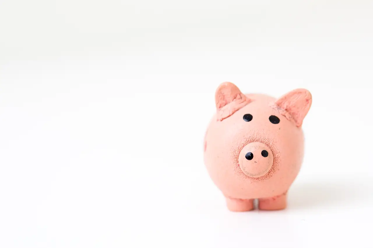 A small pink ceramic piggy bank on a plain white surface